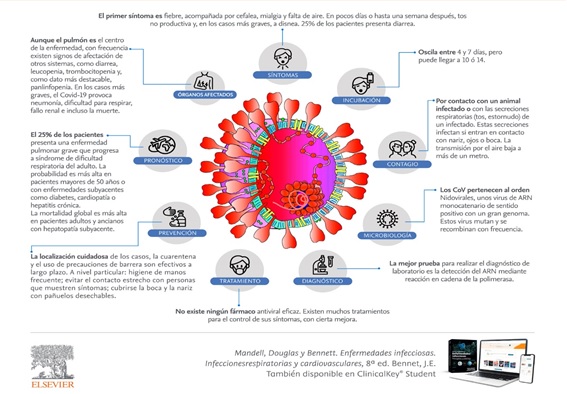 EL NUEVO CORONAVIRUS SARS-COV-2 Y SU ENFERMEDAD, COVID – 19 A QUÉ NOS ...